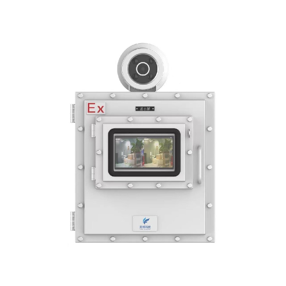 可視化非甲烷總烴在線監測系統甲苯檢測儀