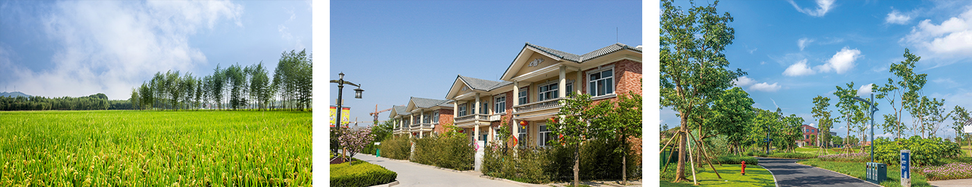 20260104176749628516.jpg 環境氣象監測-適用場景.jpg